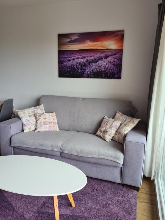 Apartman Luka Novigrad Istria Exterior foto